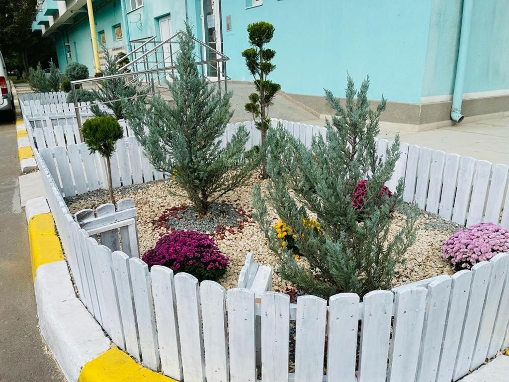 Apartament Summerland Mamaia Nord Εξωτερικό φωτογραφία